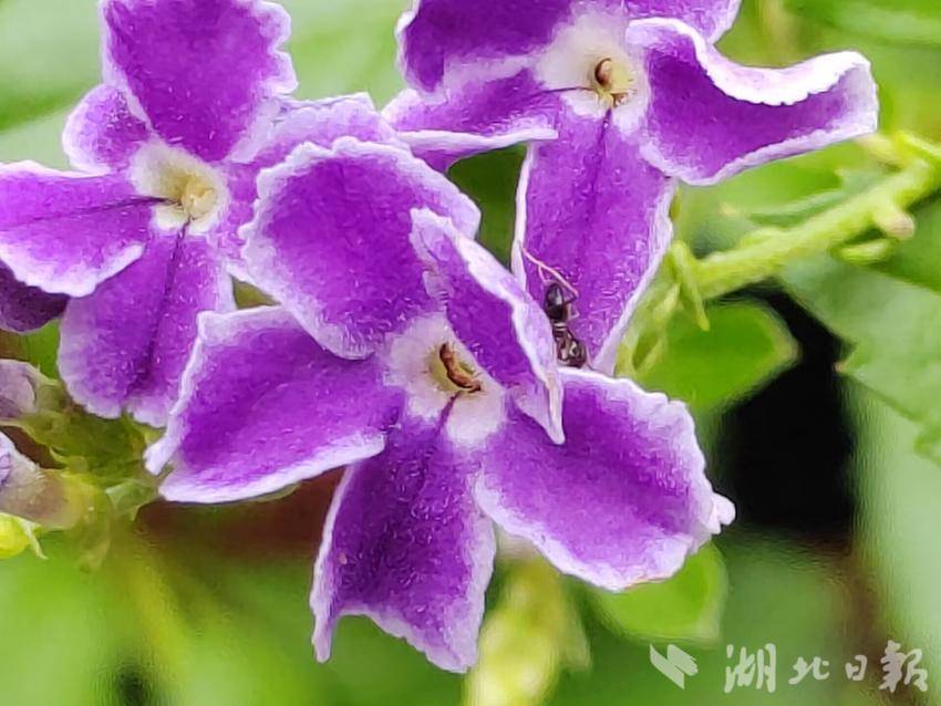 手机板mg000娱乐场